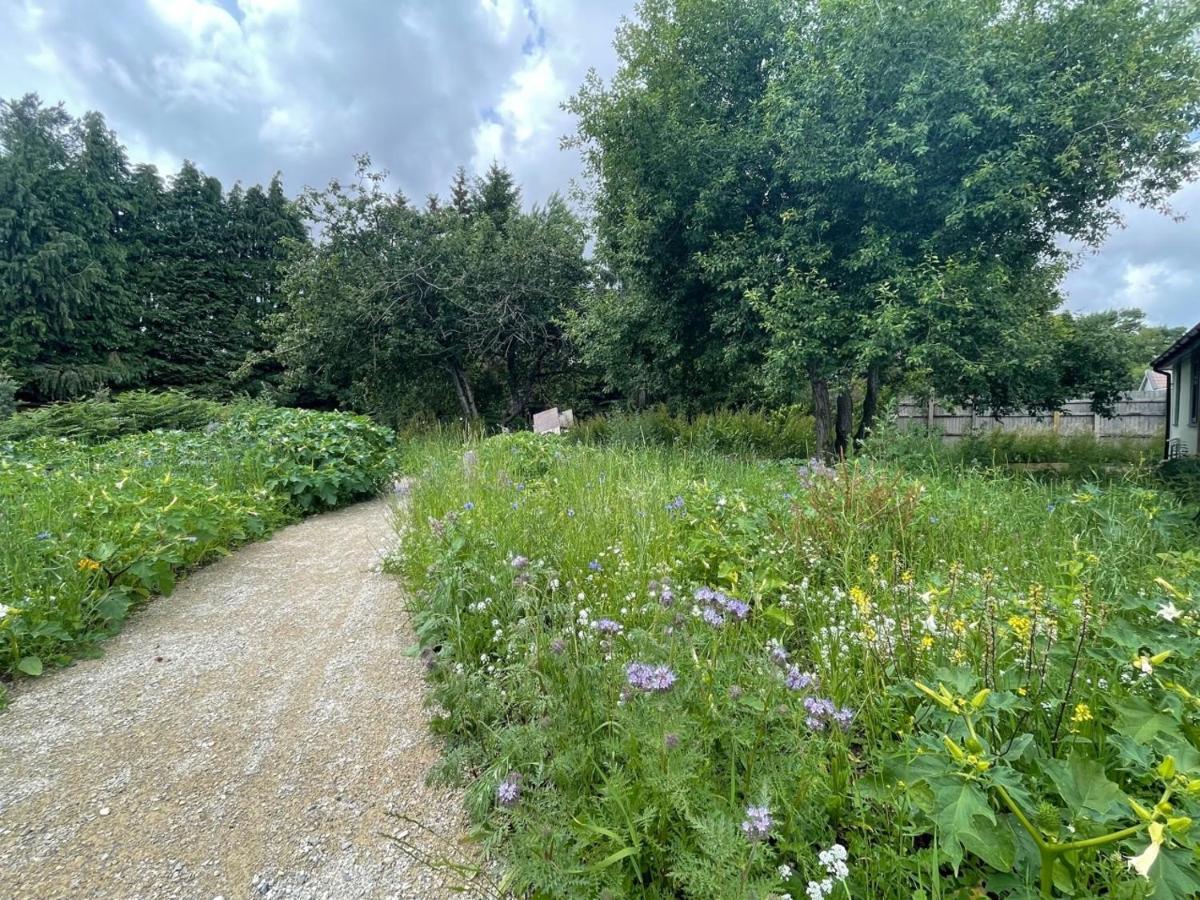 The Bearded Goat Den - A Rural Retreat At This Modern Holiday Cottage Saint Leonards Exteriör bild