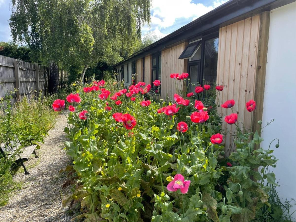 The Bearded Goat Den - A Rural Retreat At This Modern Holiday Cottage Saint Leonards Exteriör bild